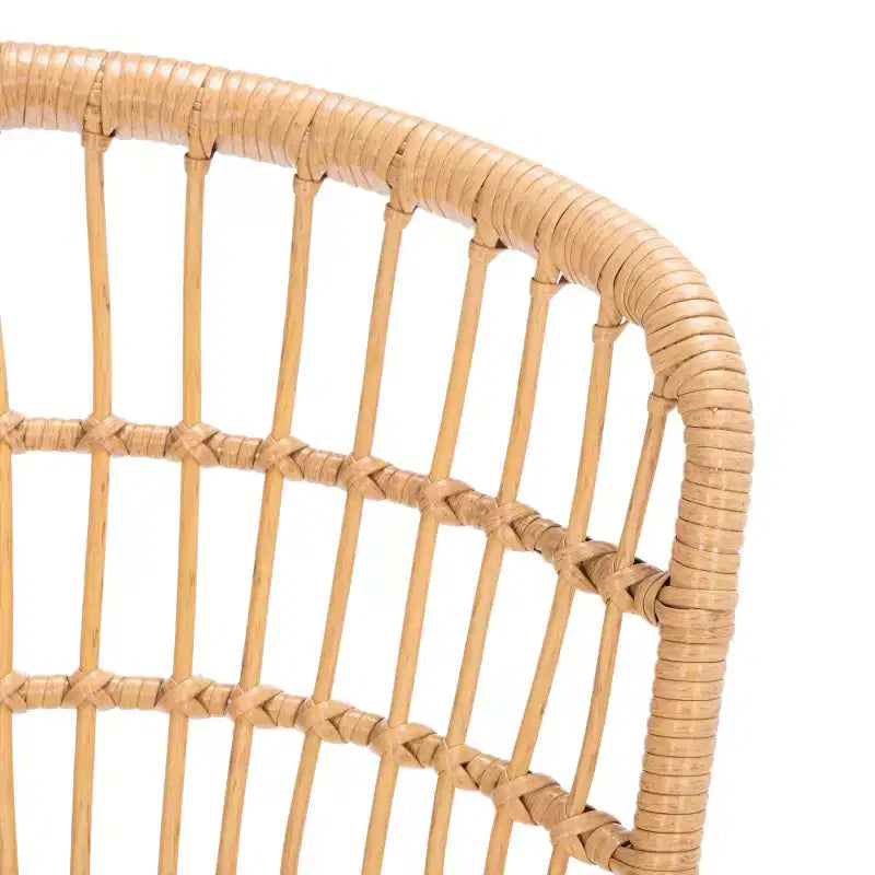 Ensemble de 3 chaises longues Prenza - Intérieur/Extérieur - PAT9013 - Safavieh
