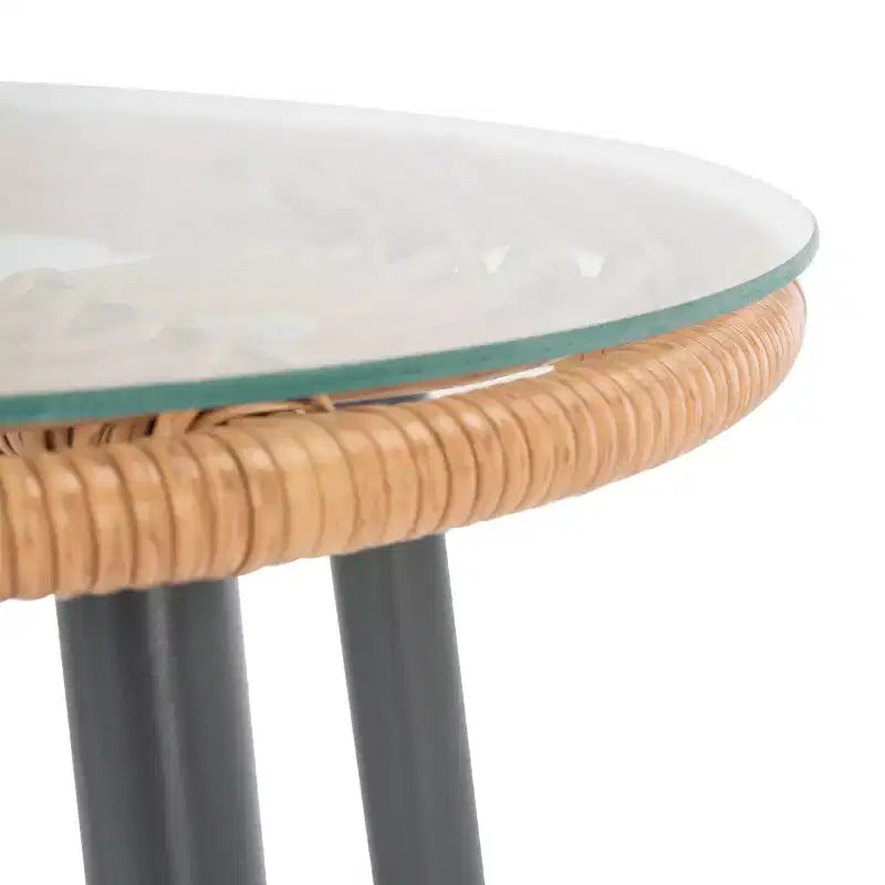 Ensemble de 3 chaises longues Prenza - Intérieur/Extérieur - PAT9013 - Safavieh